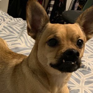 Meet your Posher, Nick